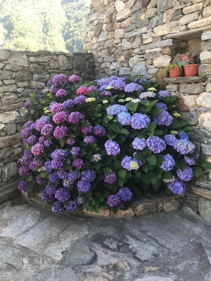 Lo Sougnet Hone Exterior foto